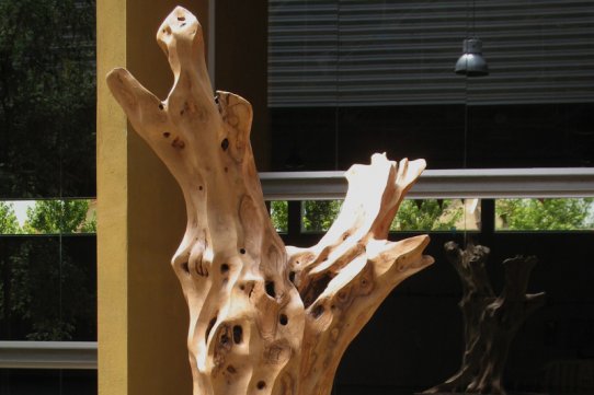 Imatge de l'escultura "La pau de l'olivera", de Josep Llinares