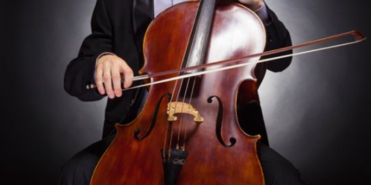 Entre d'altres activitats, dilluns 14 de juny s'ha programat una audició de violoncel.
