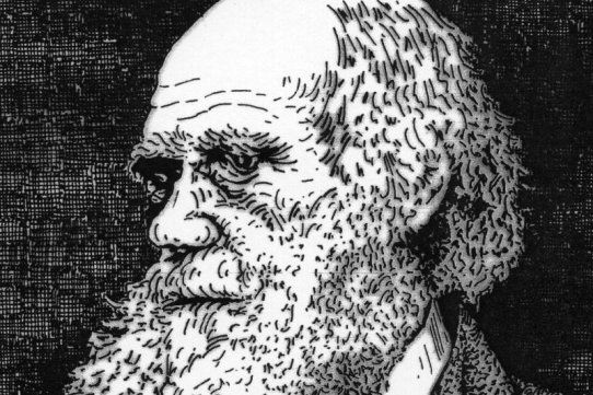 Charles Darwin (imatge de Cisco Daví)