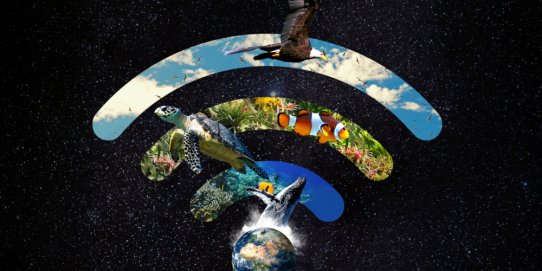 Imatge promocional de L'Hora del Planeta 2021.