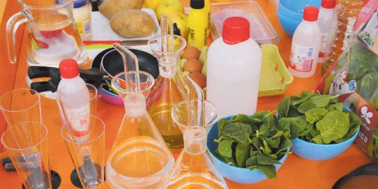 Imatge promocional de la proposta.