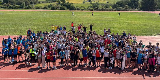 235 alumnes d'escoles de Castellar han participat en la iniciativa.