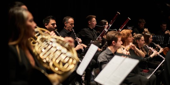 Imatge d'un concert anterior de la Kamerata Castellar.