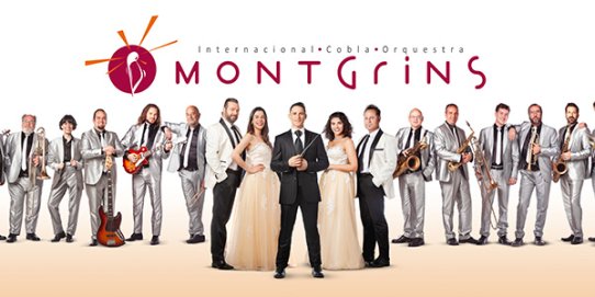 Imatge promocional de la Cobla Montgrins.