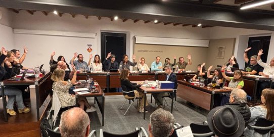 Imatge d'una sessió plenària anterior.