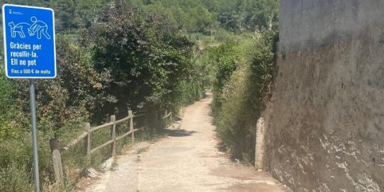 Pressupostos Participatius 2026 - Proposta A1. Millora del carrer de Canyelles 