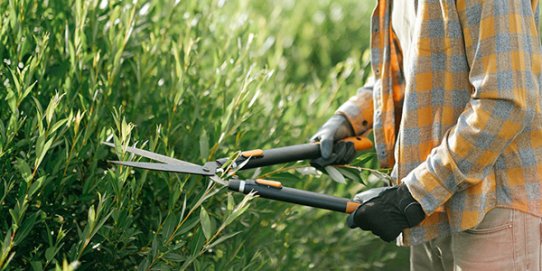 Les restes d'esporga es poden portar a la Deixalleria Municipal.