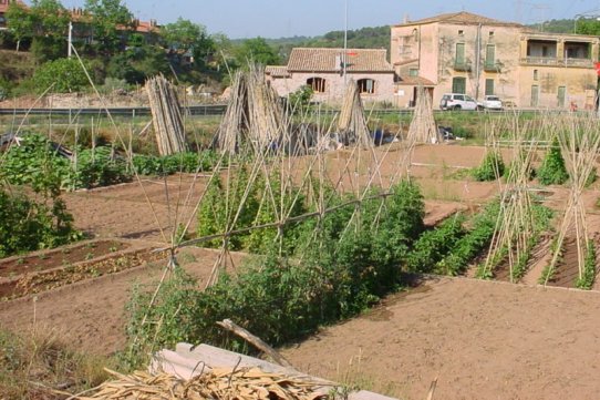 Zona d'horta municipal del Brunet
