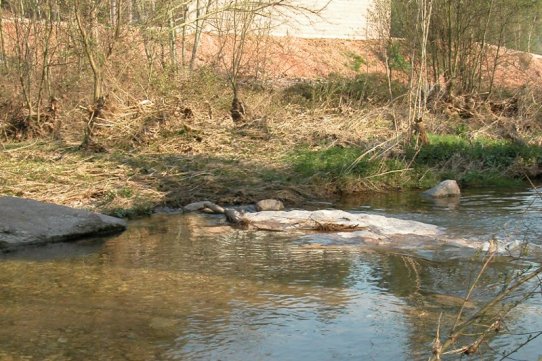 L'Ajuntament ha emès un ban per garantir la protecció dels espais fluvials