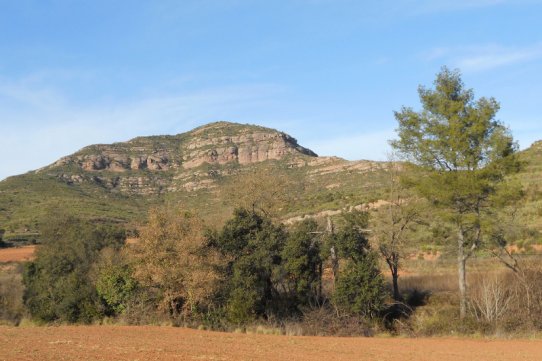 Parc Natural de Sant Llorenç del Munt