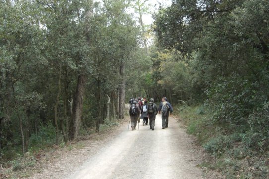 Imatge de la 1a sortida de la Ruta dels Castellars, l'any 2009