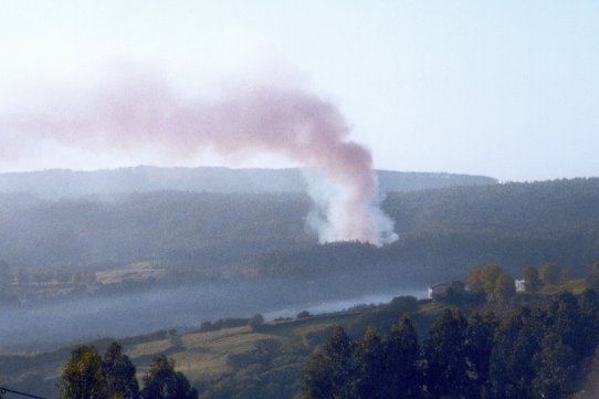 Imatge d'un incendi forestal a Castellar del Vallès