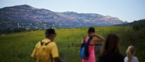 35a Caminada Popular: El torrent de Colobrers