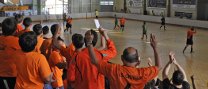 Partit sènior