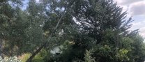 Mesures de prevenció d'incendis en parcel·les urbanes privades