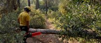 Prevenció d'incendis al medi natural