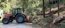Autoritzacions per a activitats amb risc d'incendi