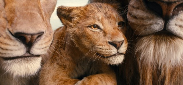 Cinema familiar:
"Mufasa: El rey león"
Dg. 19/01, 16 h
Auditori