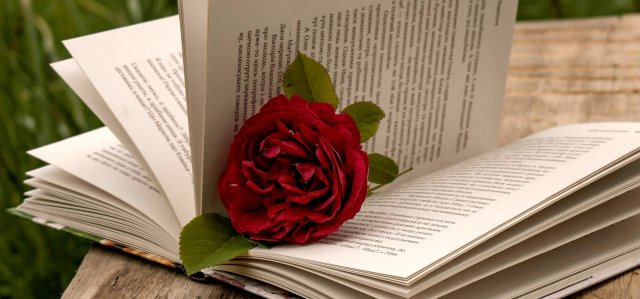 Celebra Sant Jordi
a Castellar!
Consulta'n la
programació aquí