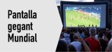 Gaudeix de la final del Mundial en pantalla gegant!
Dg. 19/07 - 20.30 h
Pl. de la Fàbrica Nova