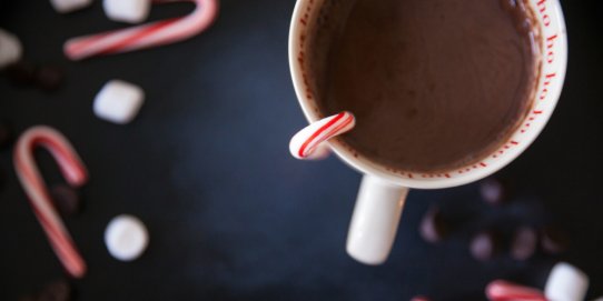 La xocolatada, que és gratuïta, serà oberta a les persones majors de 60 anys.