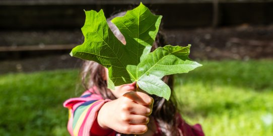 Imatge promocional del Dia Mundial del Medi Ambient.