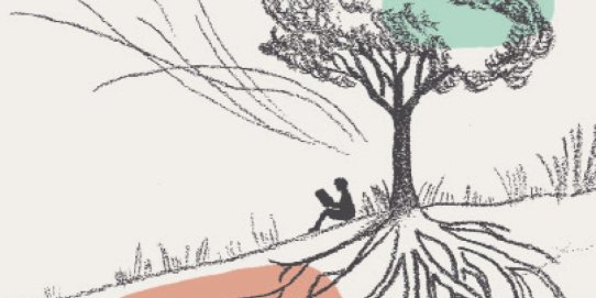 Fragment de la coberta del llibre.