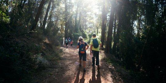 Imatge d'una edició anterior de la Marxa Infantil de Regularitat.