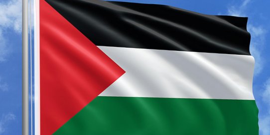  Bandera de Palestina.