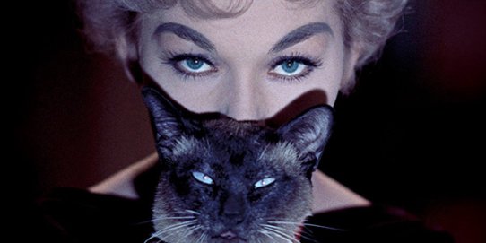 Imatge promocional de la proposta.