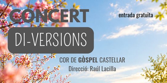 Part del cartell del concert.