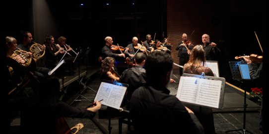 Imatge d'un concert anterior de la Kamerata Castellar.
