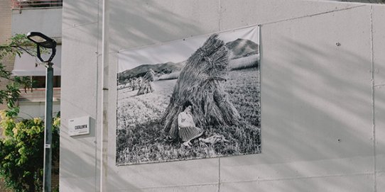 Imatge de la fotografia ubicada a la Plaça de Catalunya.
