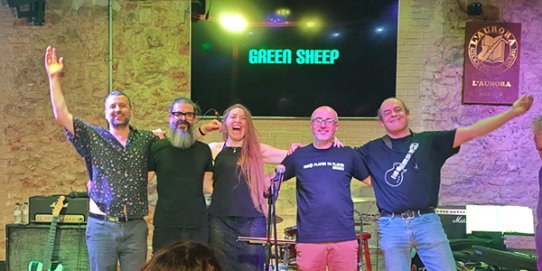 Grup Green Sheep.