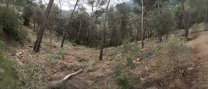 Bombers Voluntaris i ADF de Castellar, mobilitzats en la campanya de prevenció d’incendis